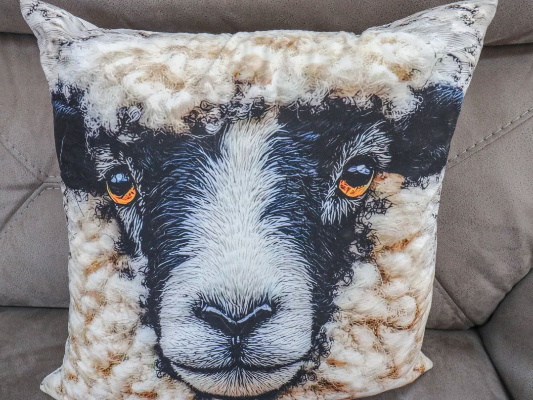 A cushion with a sheep face design