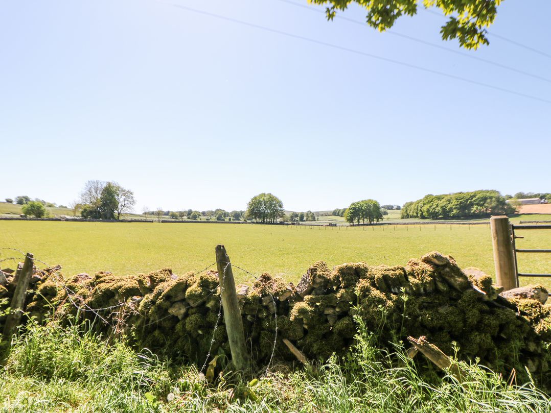 Meadow View