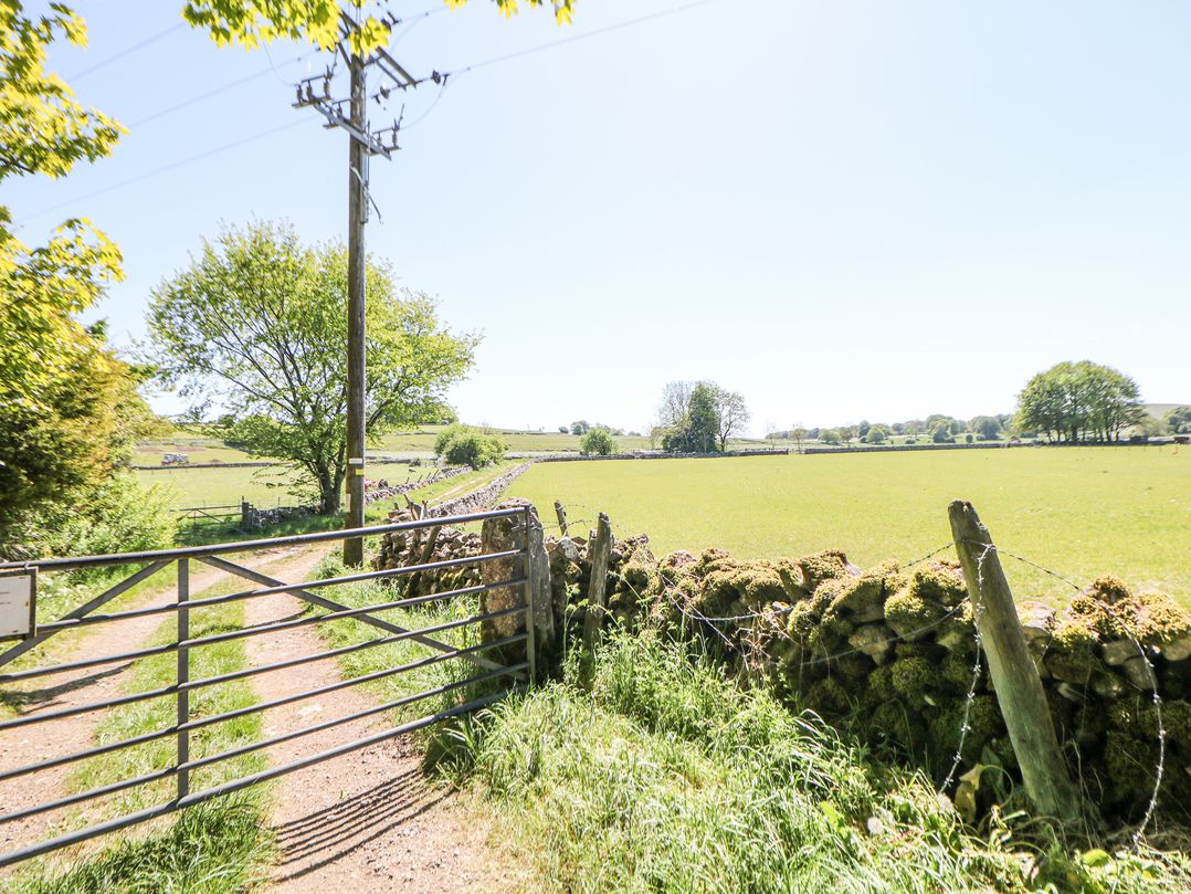 Meadow View