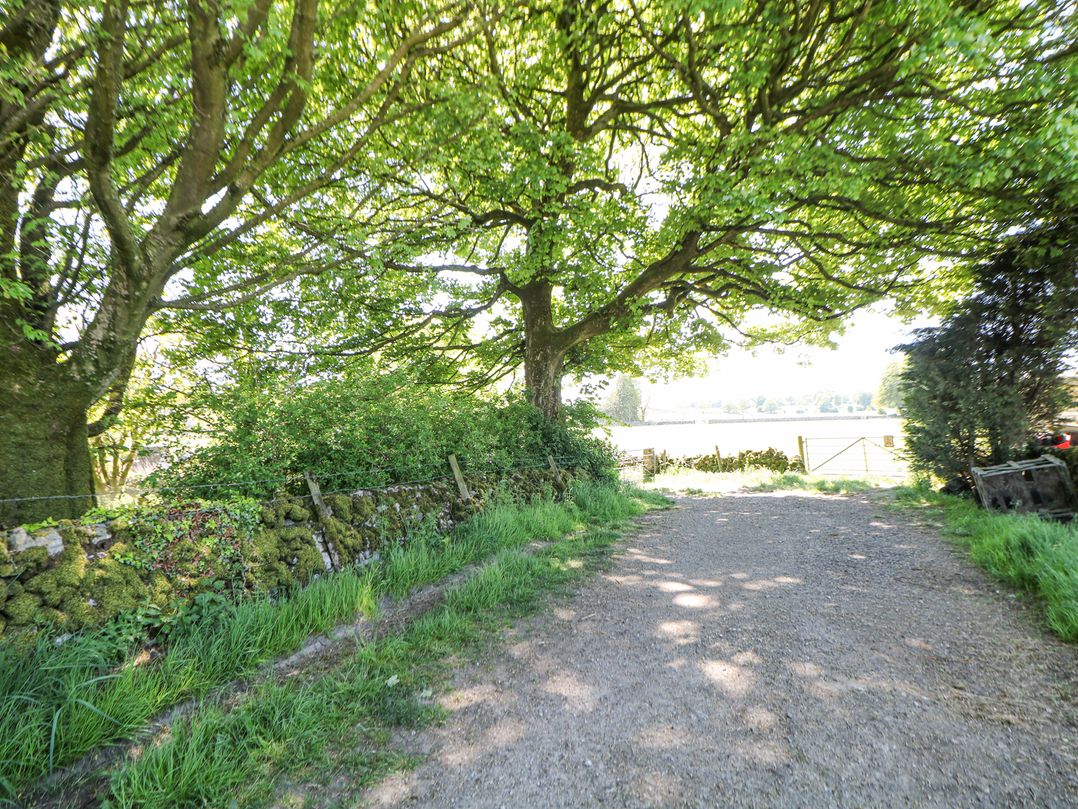 Meadow View