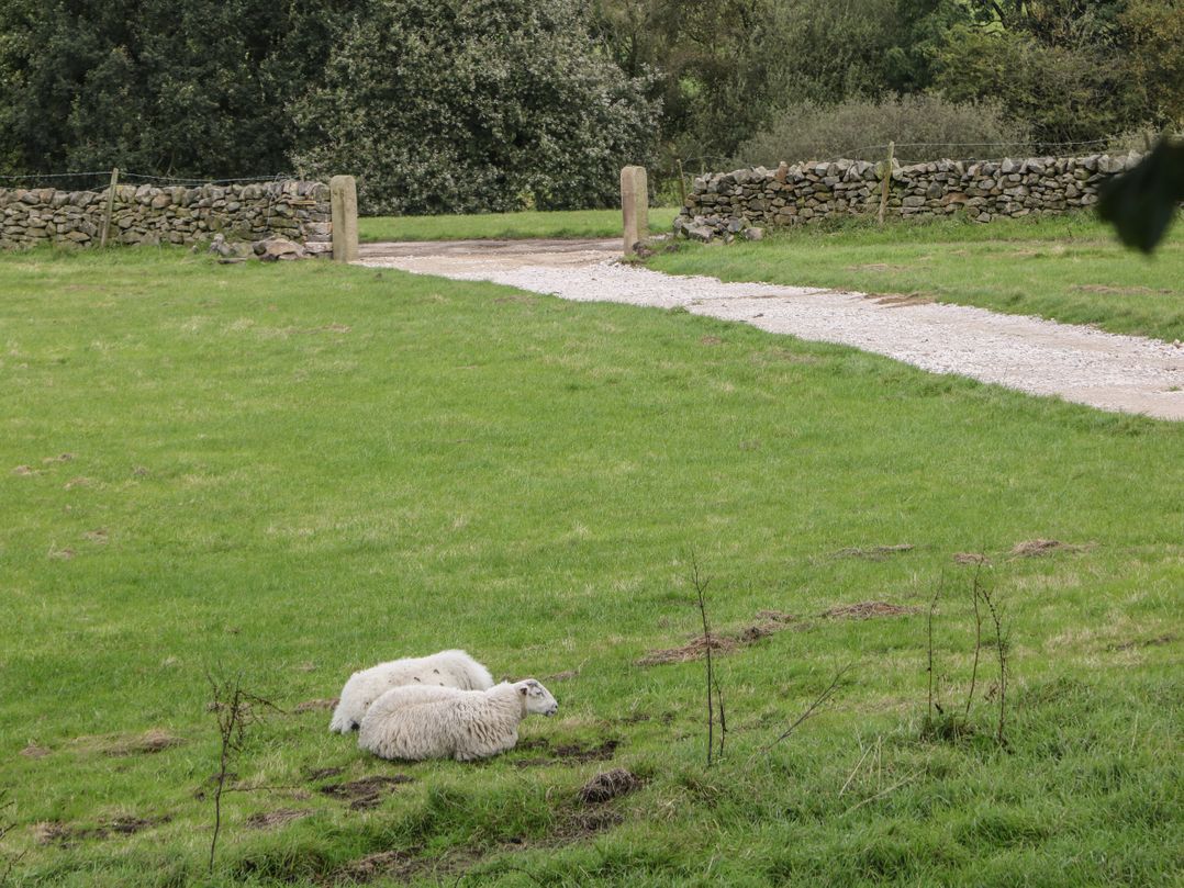 Stoney Cliffe Farm