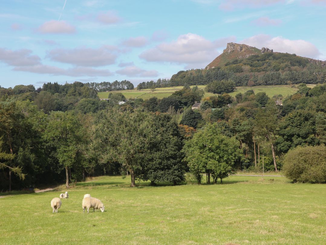 Stoney Cliffe Farm