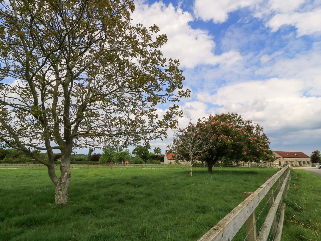 Badger Cottage