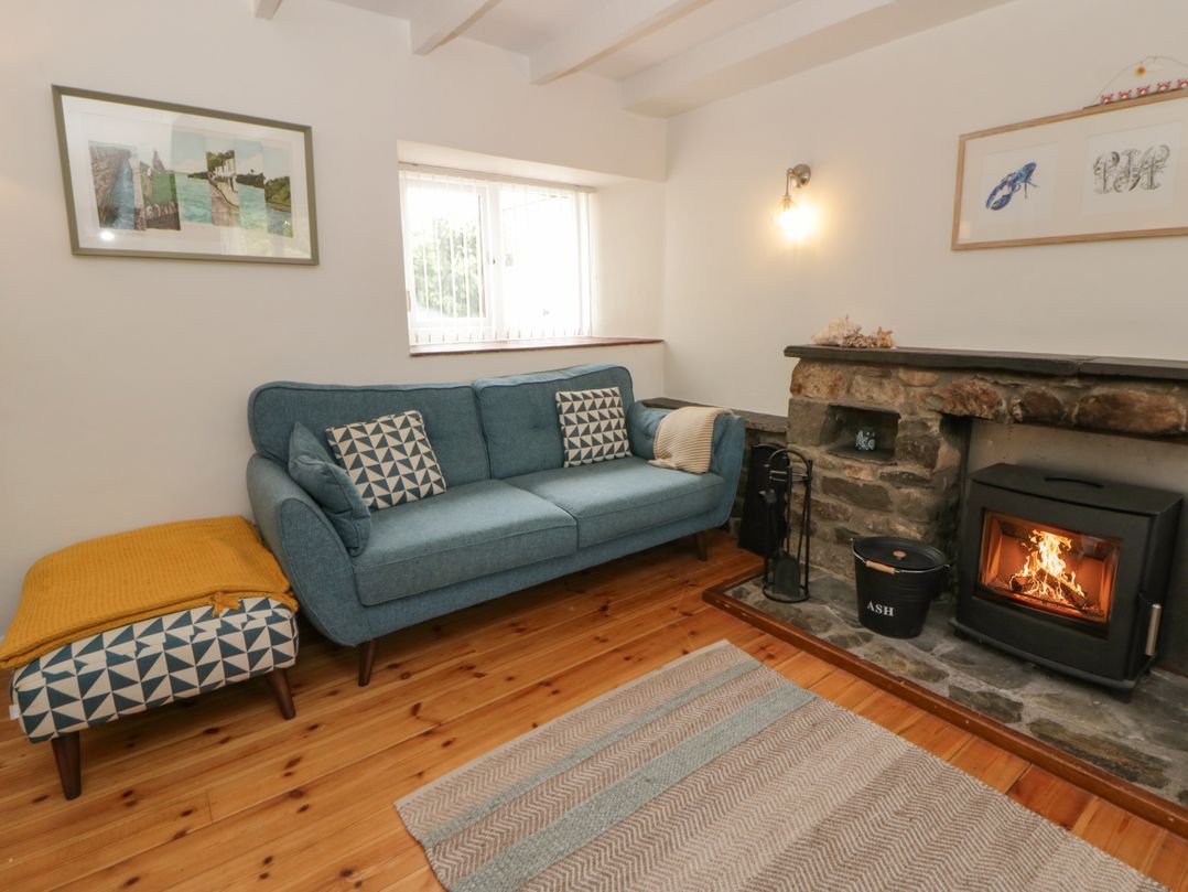 A living room with a sofa and fireplace at Little Barn Cottage in Dinas Cross, Pembrokeshire