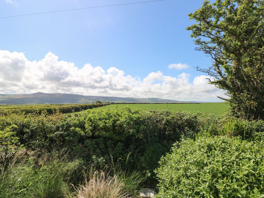 Ty-Newydd Cottage