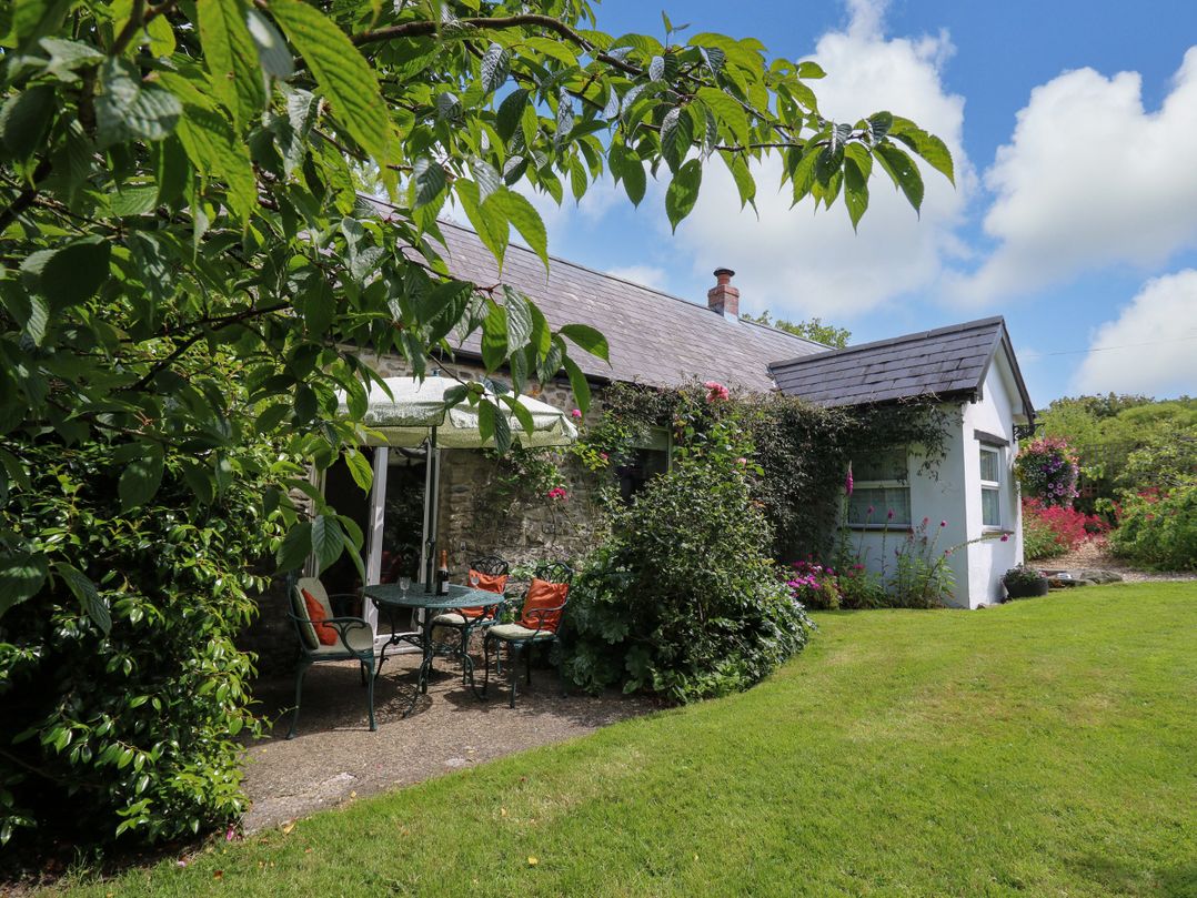 Dog friendly cottage in New Quay, Ceredigion - Sleeps 4