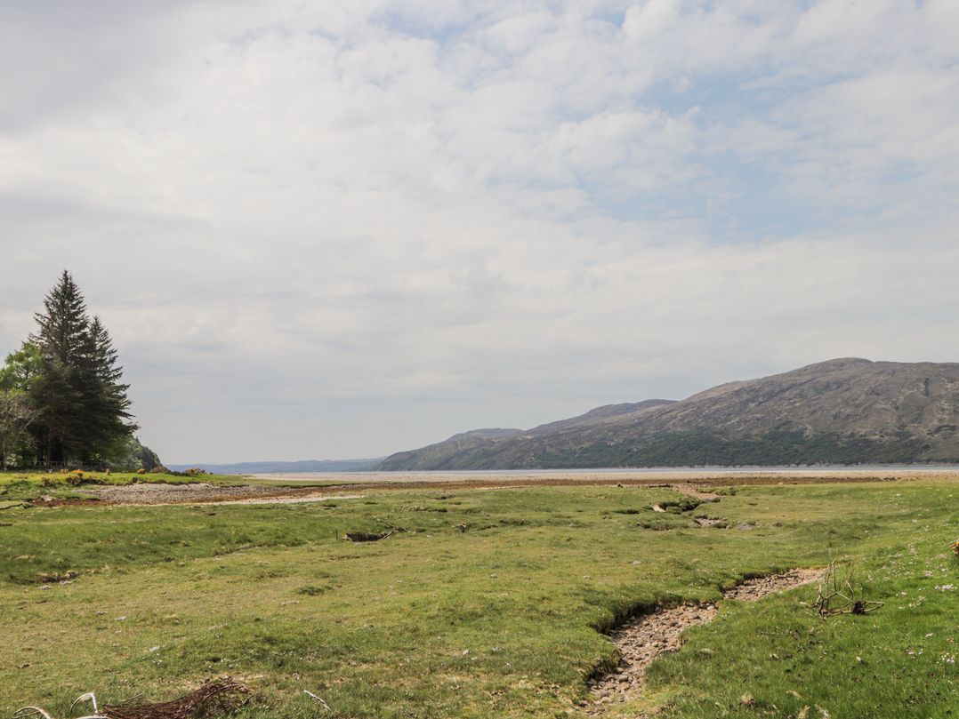 Roddy's Cottage