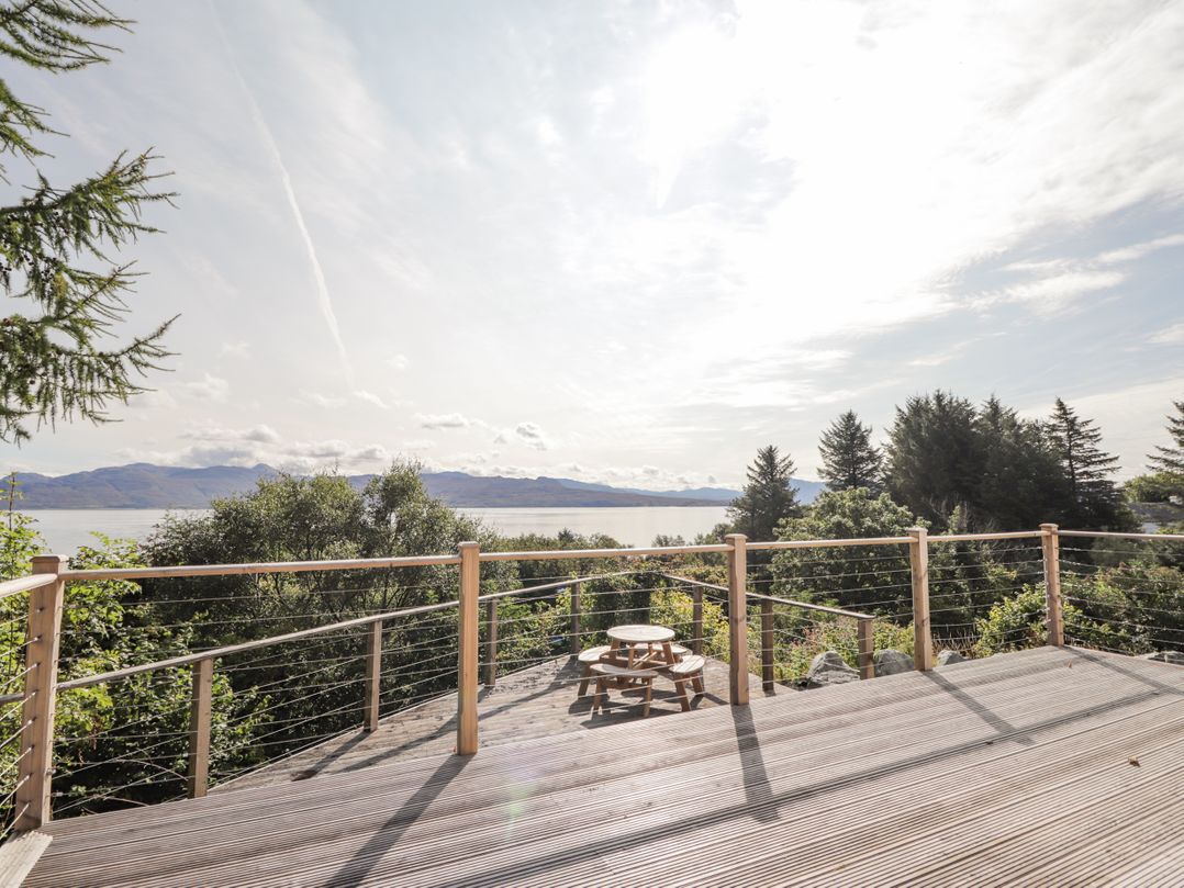 The Lookout