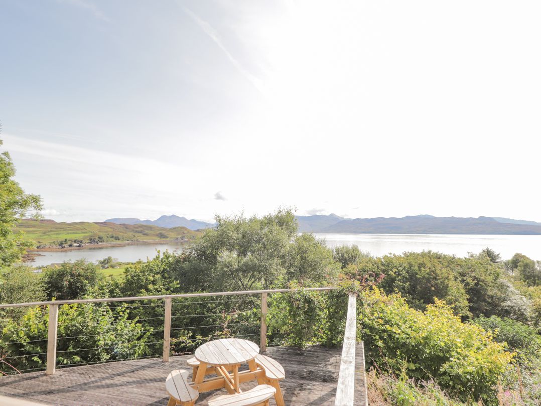 The Lookout