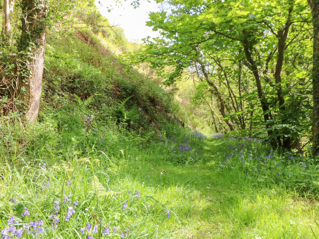 Glyn Yr Efail