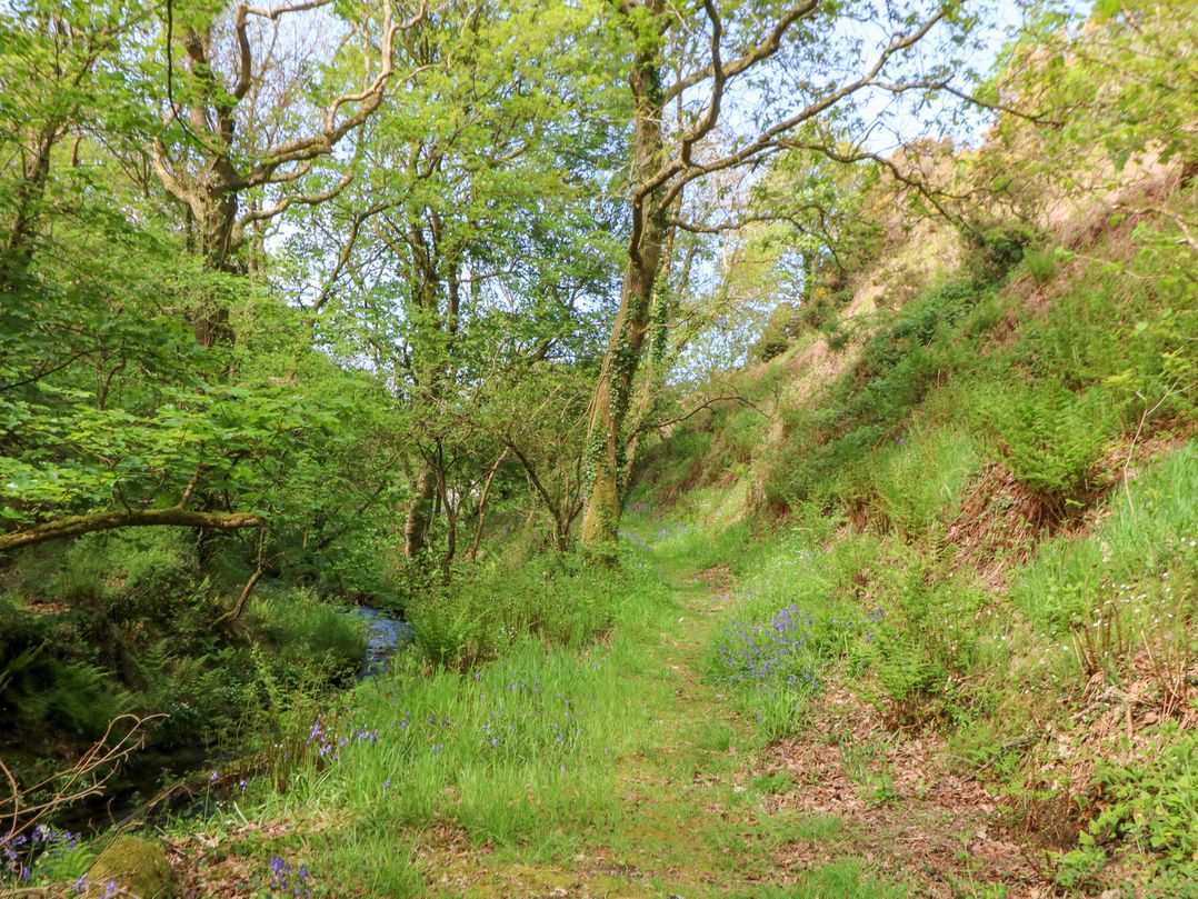 Glyn Yr Efail
