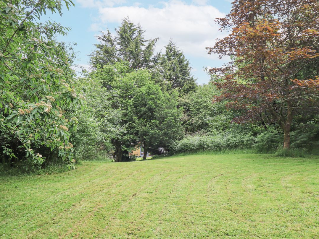 Bracken Ground