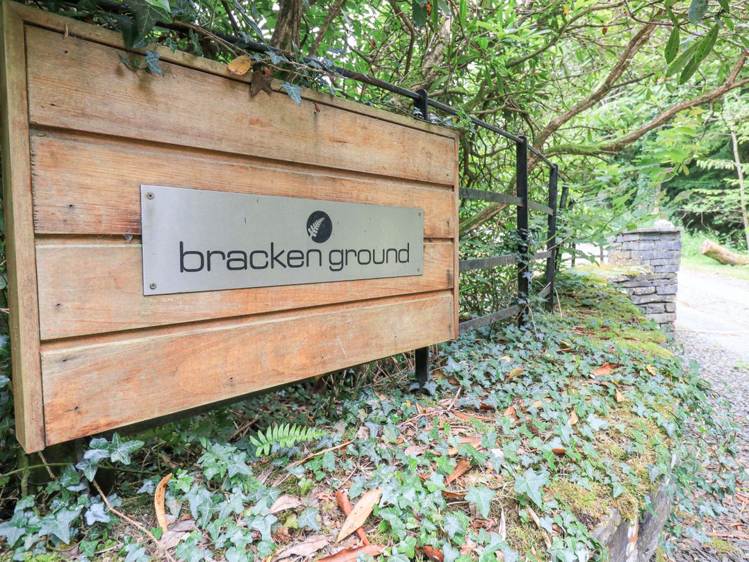 Bracken Ground