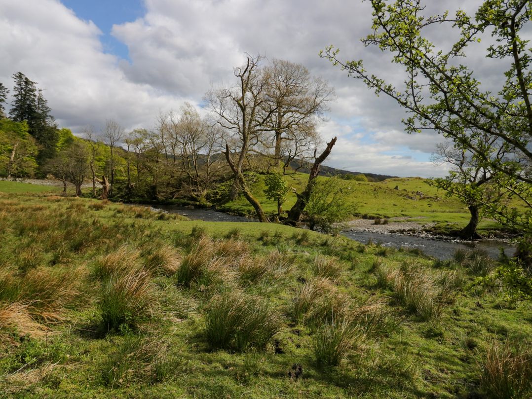 River Lodge