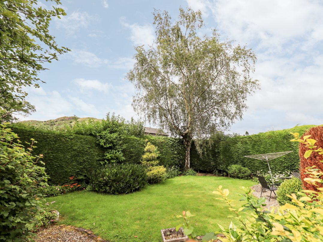 Birch Knoll
