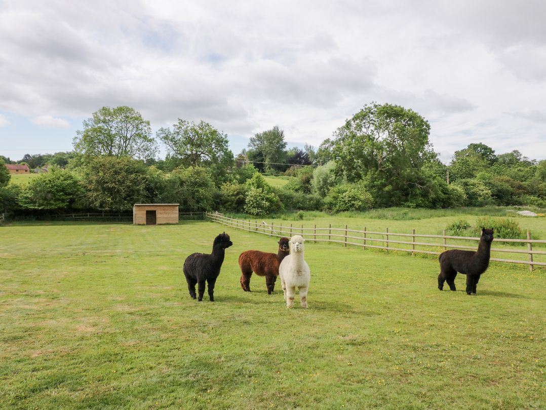 Acorn Lodge At Bridge Lake Farm & Fishery