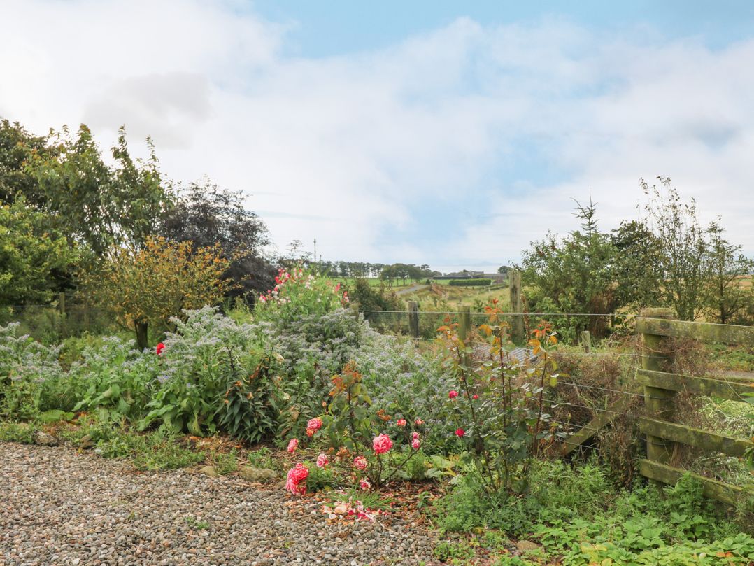 Knightsward Farm