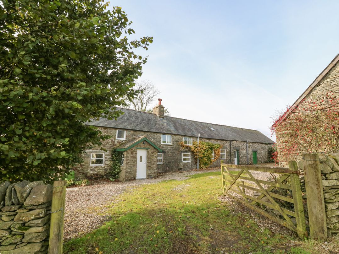Cefn y Gadfa