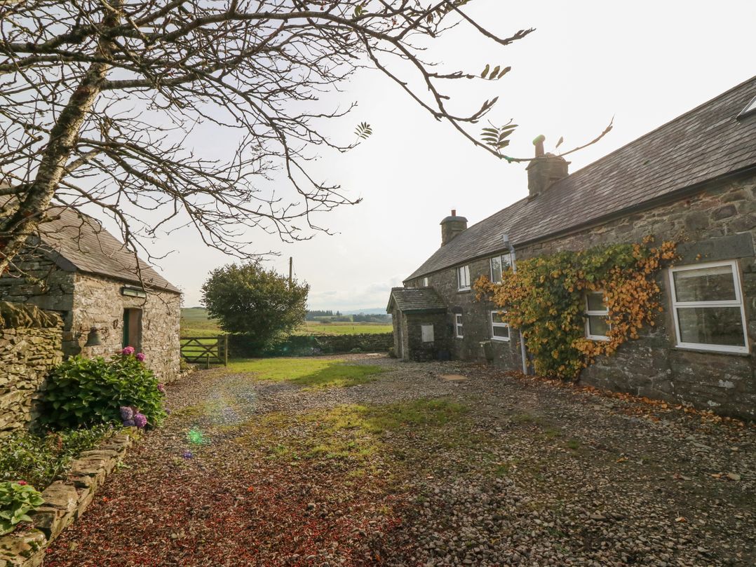 Cefn y Gadfa