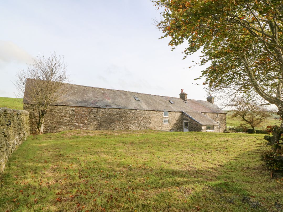 Cefn y Gadfa