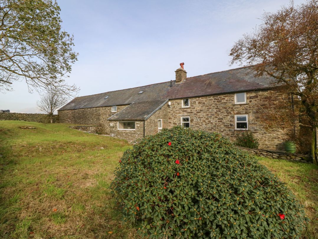 Cefn y Gadfa