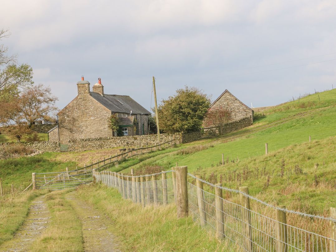 Cefn y Gadfa