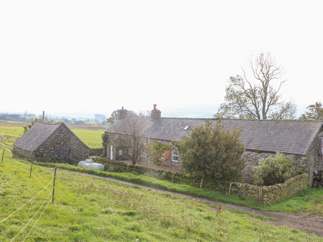 Cefn y Gadfa