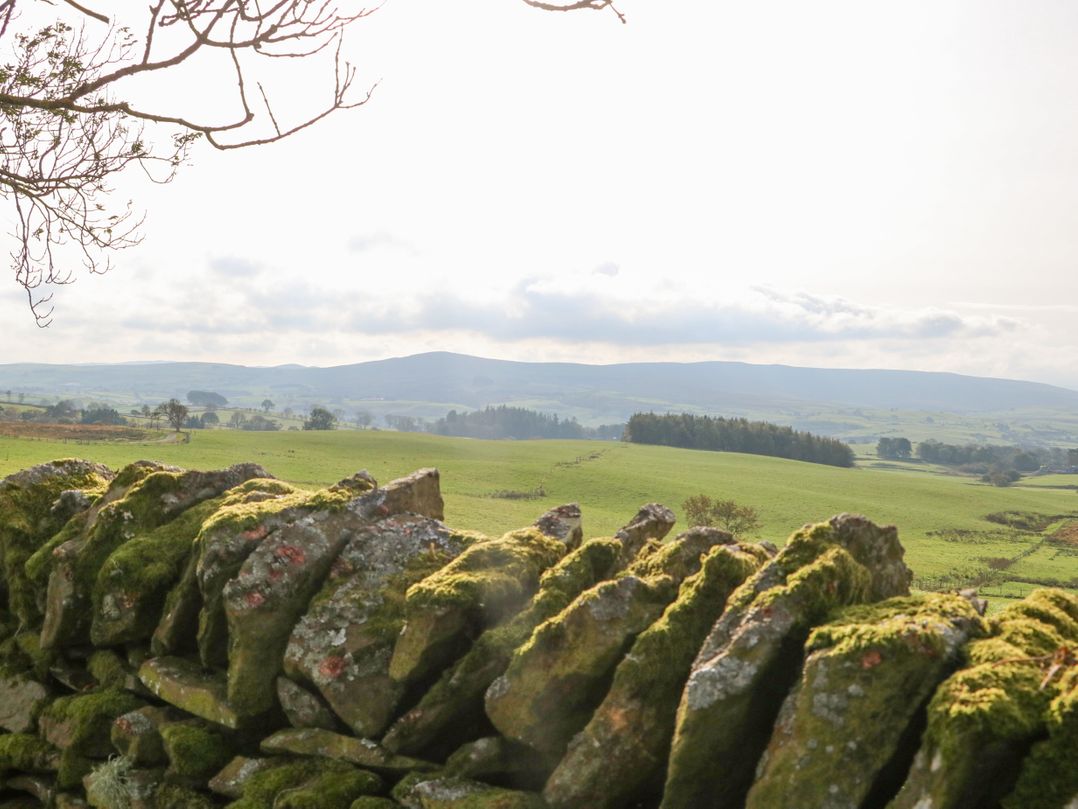 Cefn y Gadfa