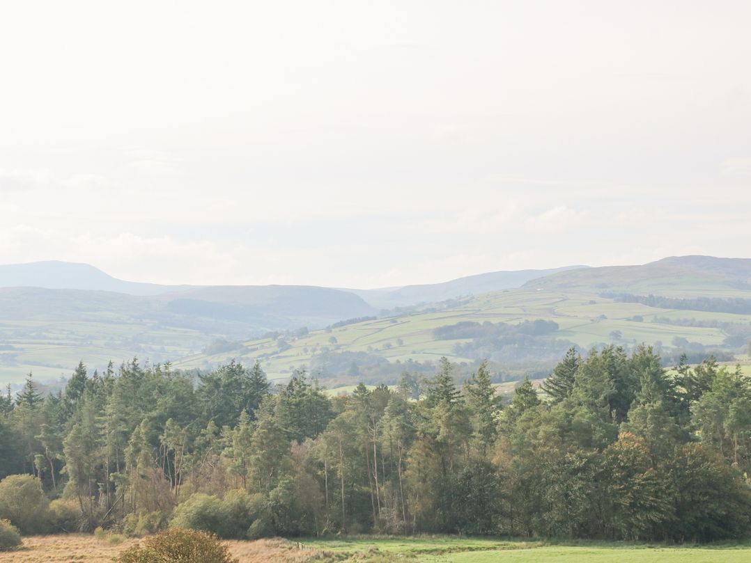 Cefn y Gadfa
