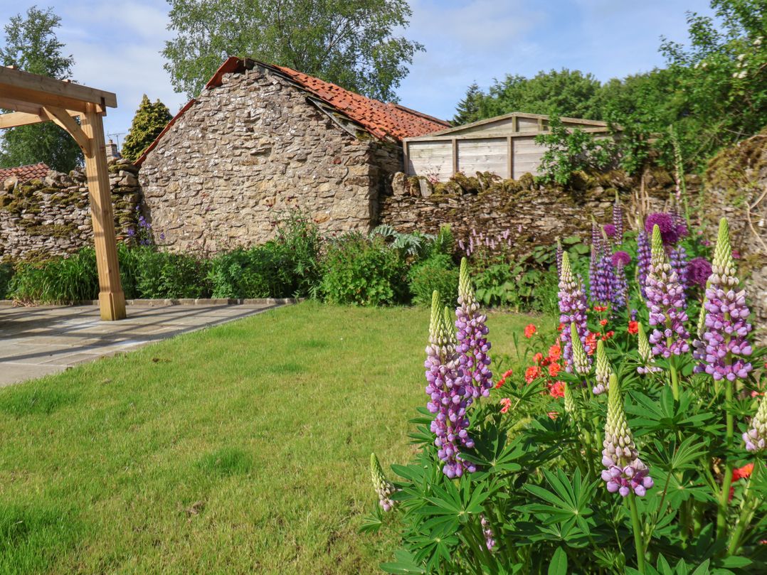 Bute Cottage