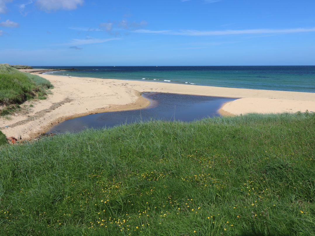 Bella's Beach Cottage