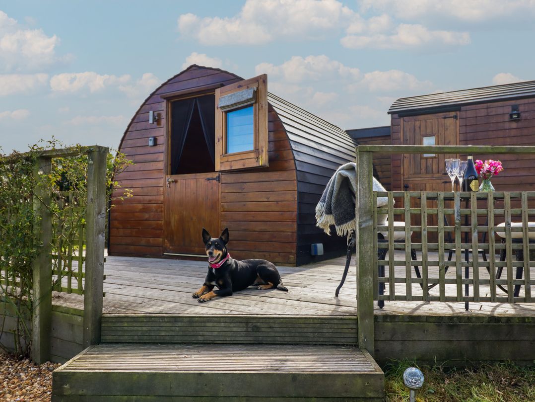 Embden Pod at Banwy Glamping