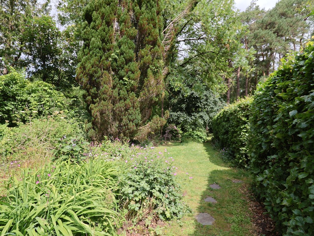Jasmine Cottage