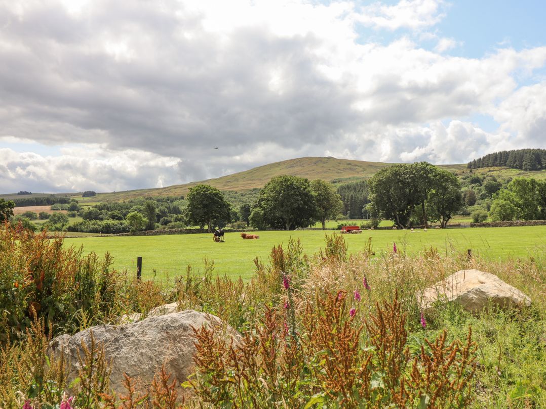Plas Iolyn