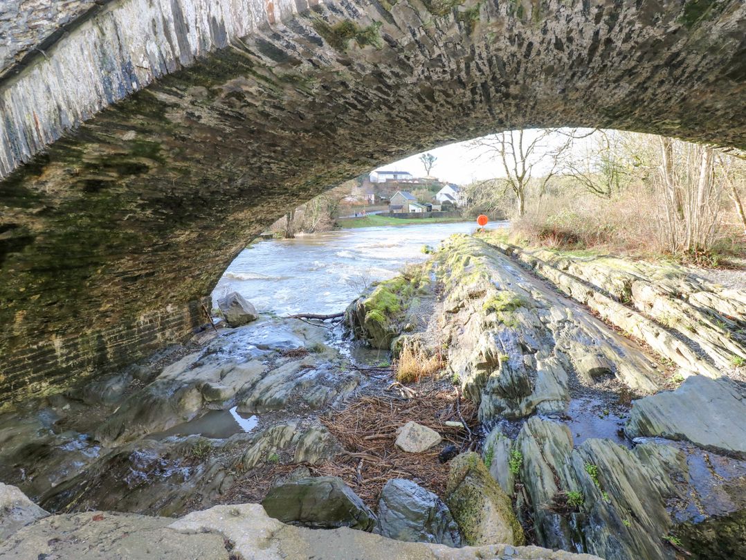 Doirewood