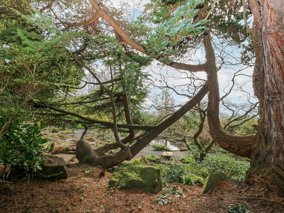 Branklyn Garden Cottage