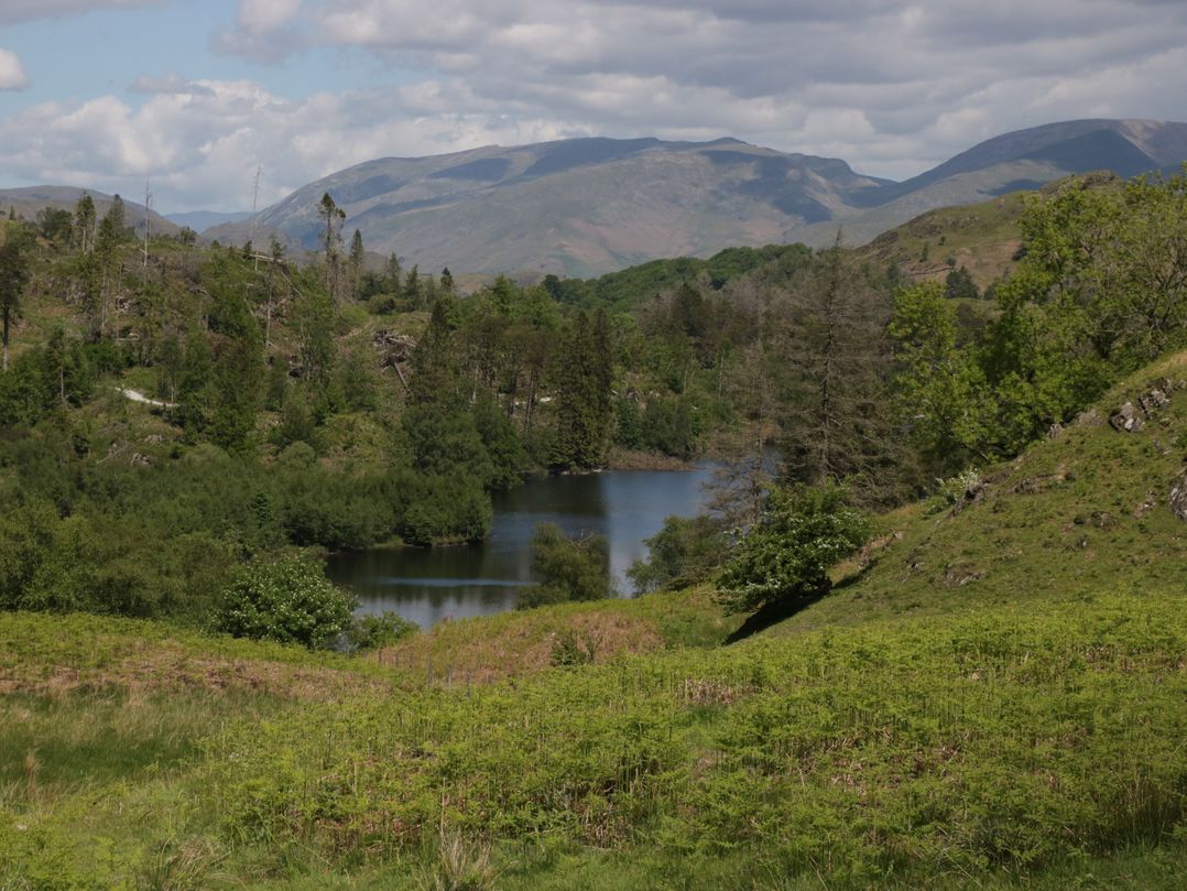 32 Quarry Rigg