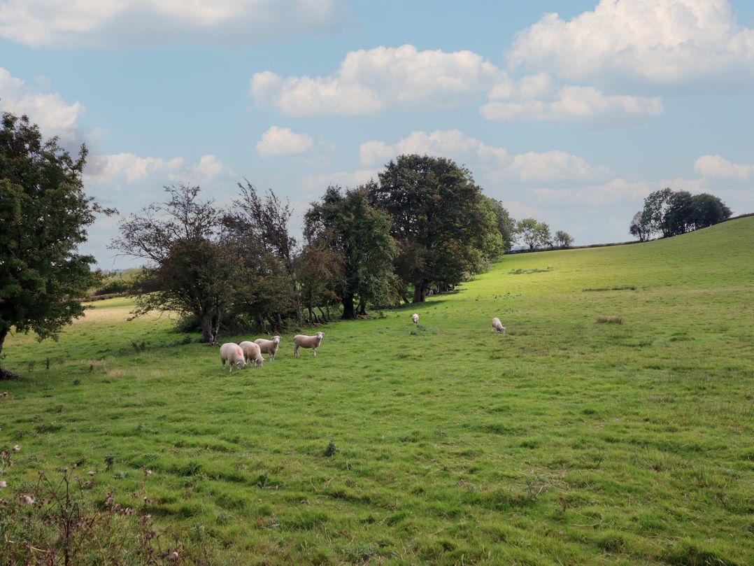 Stag Lodge Pod