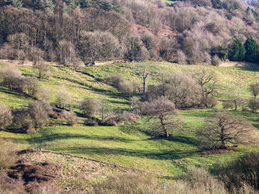 Kirkham House