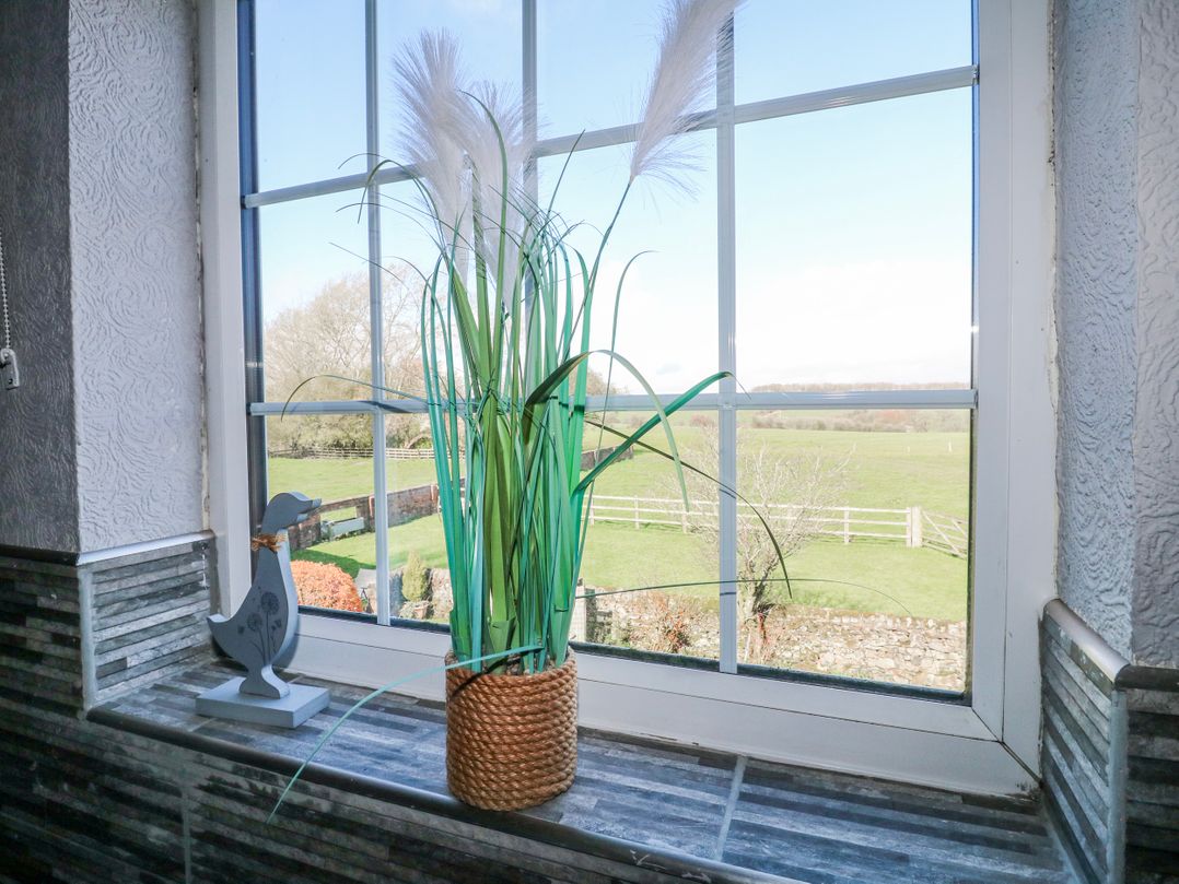 Ley Fields Farm