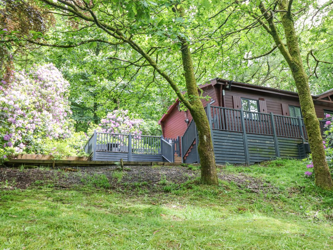 Tree Lodge