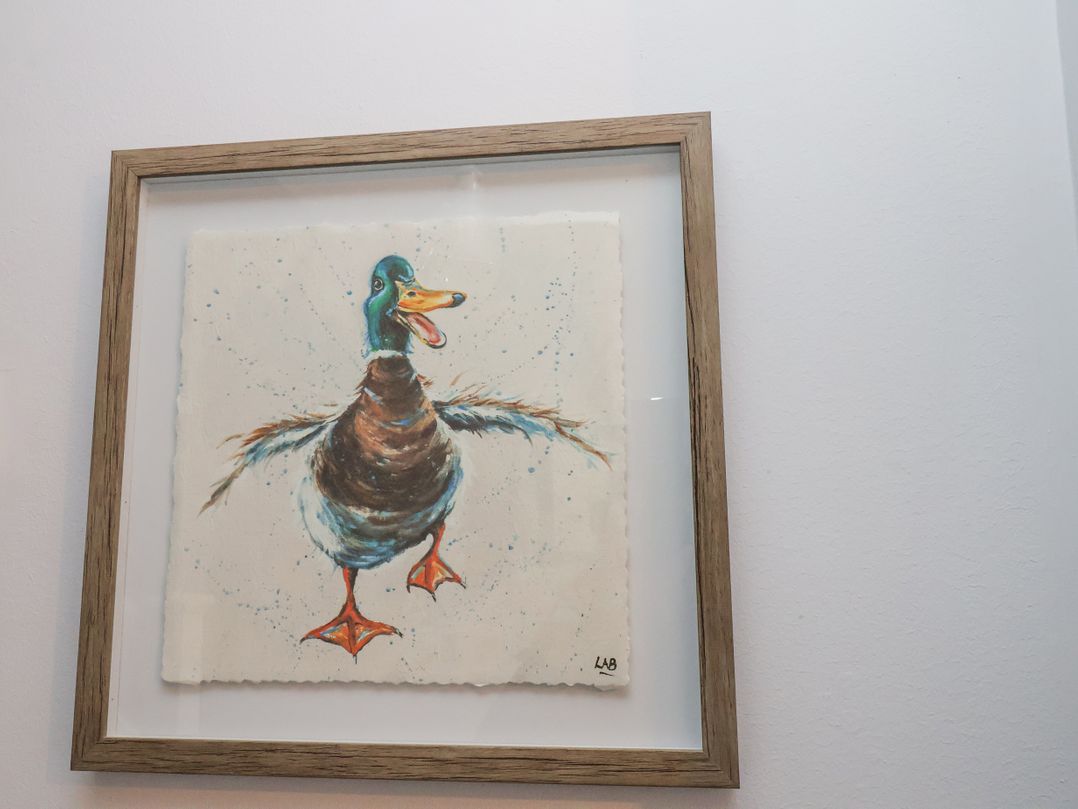 Dabbling Ducks