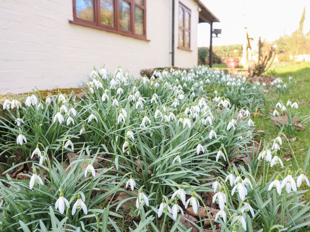 Woodpit Cottage