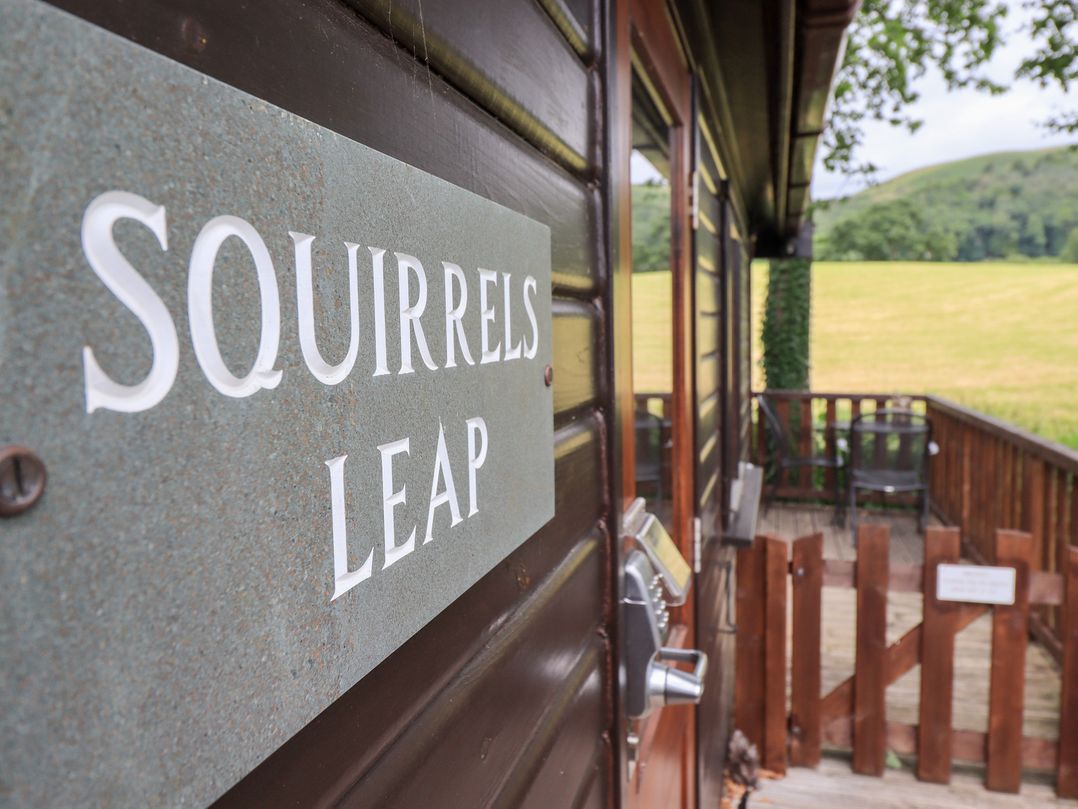 Squirrels Leap