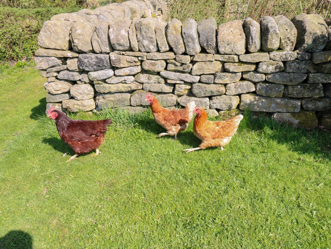 The Barn at Heath Hall Farm