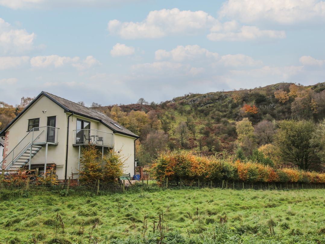 Woodland View