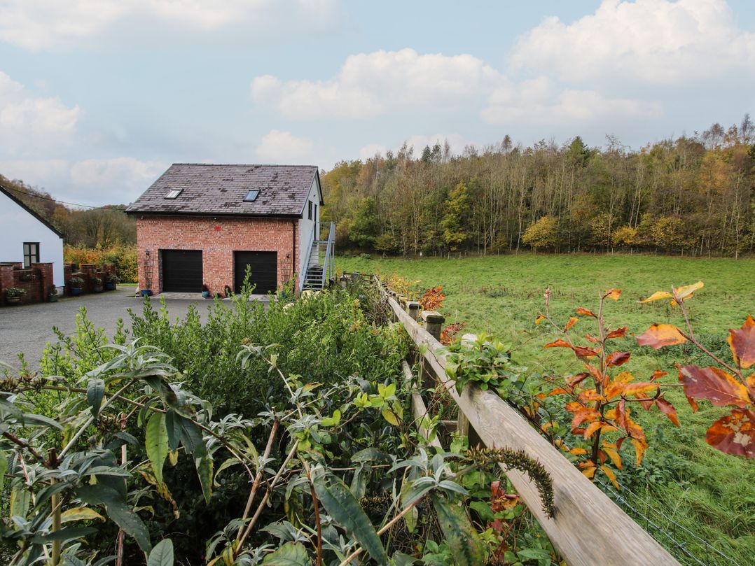 Woodland View