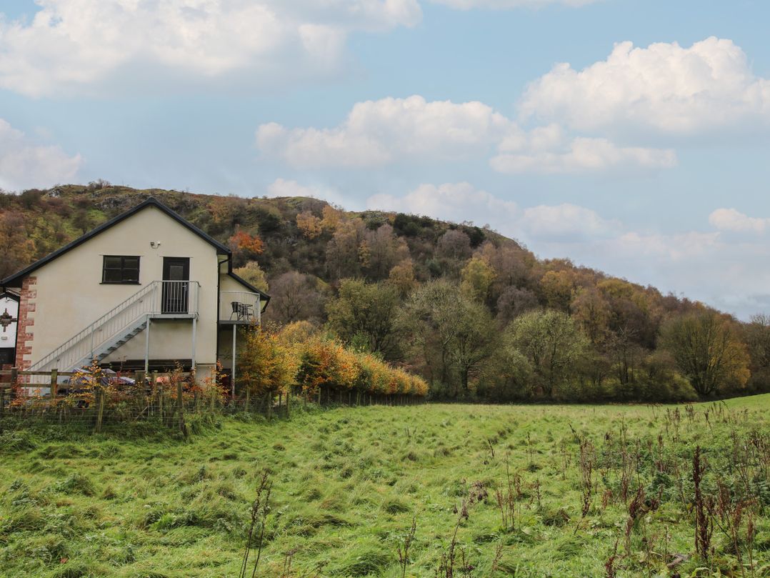 Woodland View
