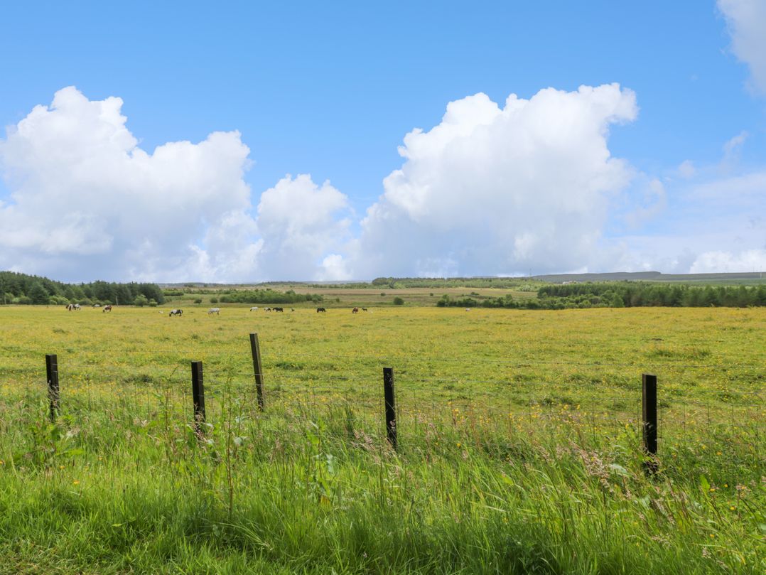 The Barn, Drumbow Farm