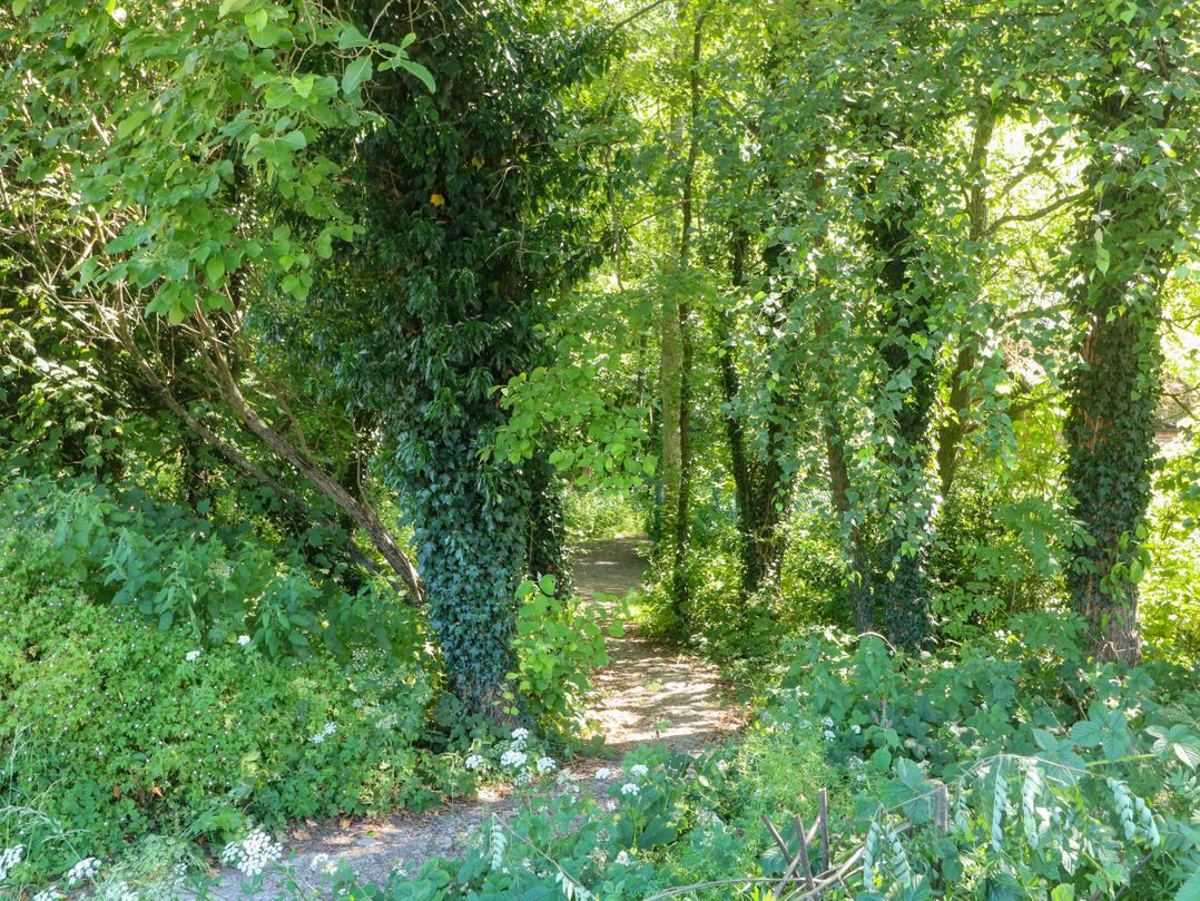Bluebell Barn